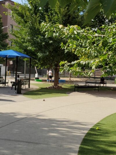 The West Loop 569 Dog Friendly Area - Chicago, IL