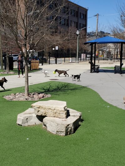 The West Loop 569 Dog Friendly Area - Chicago, IL