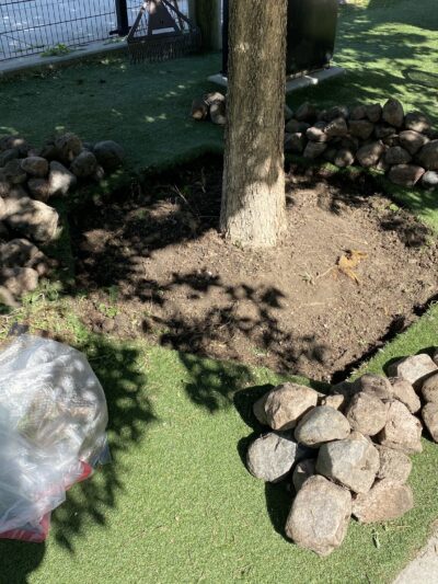 The West Loop 569 Dog Friendly Area - Chicago, IL