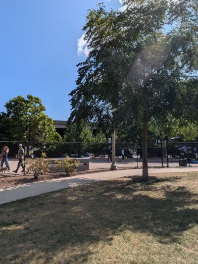 Walsh Park Dog Friendly Area - Chicago, IL