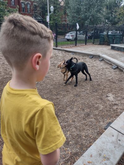 Wicker Park Dog Friendly Area - Chicago, IL