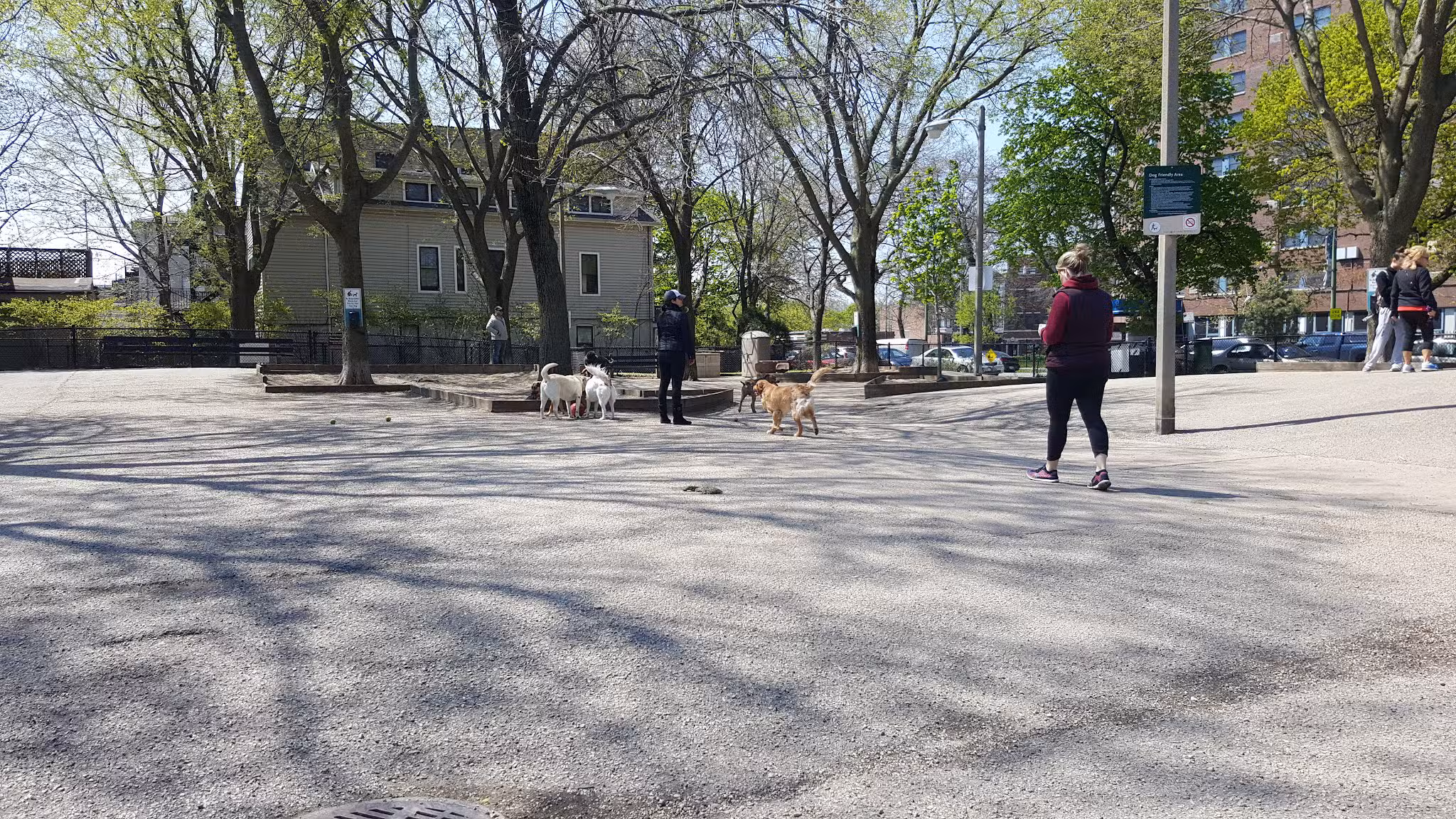 Wiggly Field Dog Park - Chicago, IL