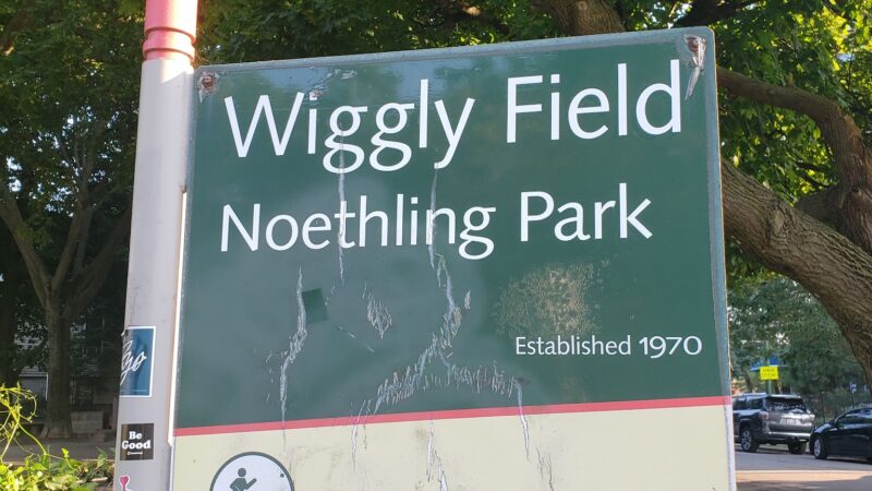 Wiggly Field Dog Park - Chicago, IL