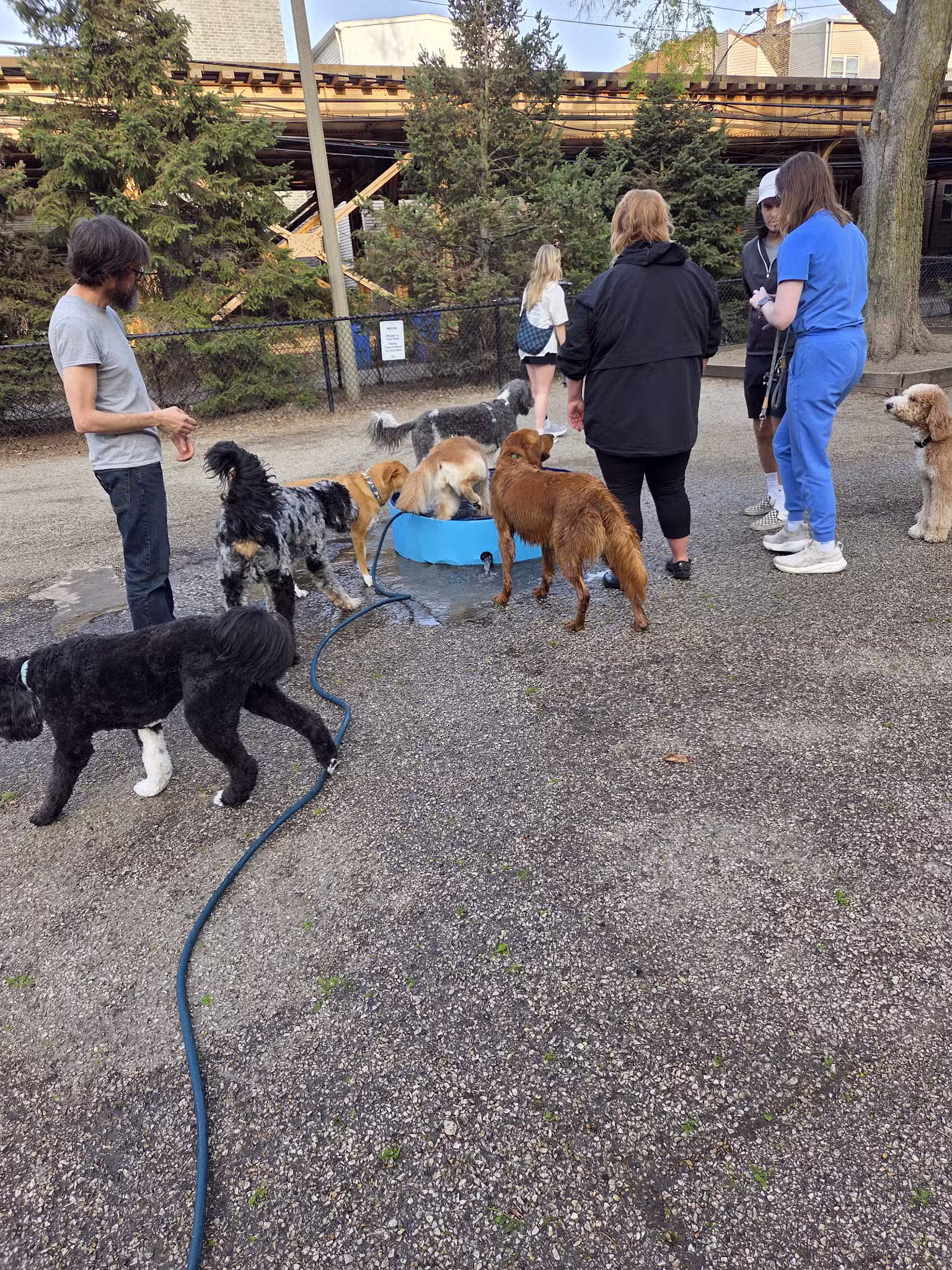 Wiggly Field Dog Park - Chicago, IL