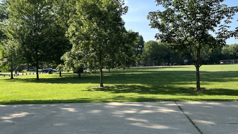 Wildwood Park - Chicago, IL