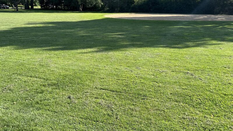 Wildwood Park - Chicago, IL