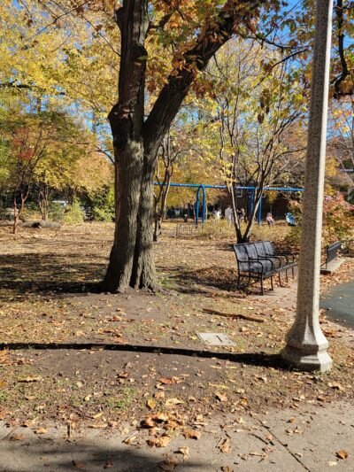 Wildwood Park - Chicago, IL