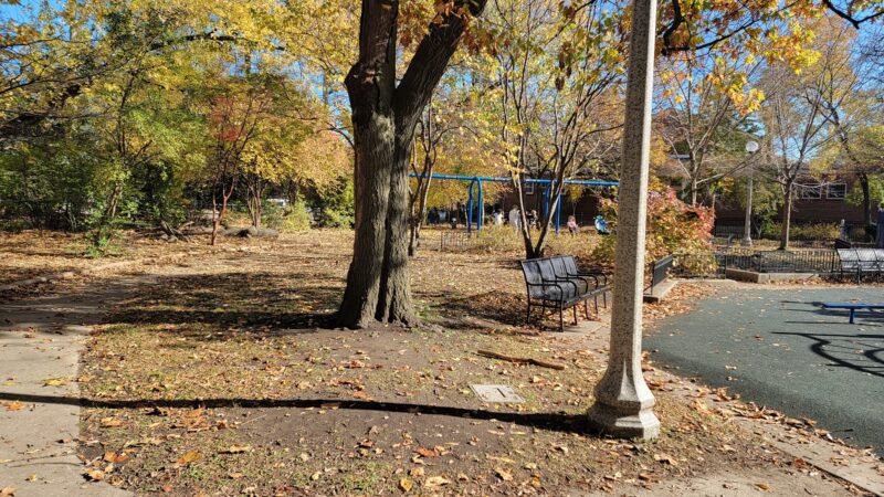 Wildwood Park - Chicago, IL