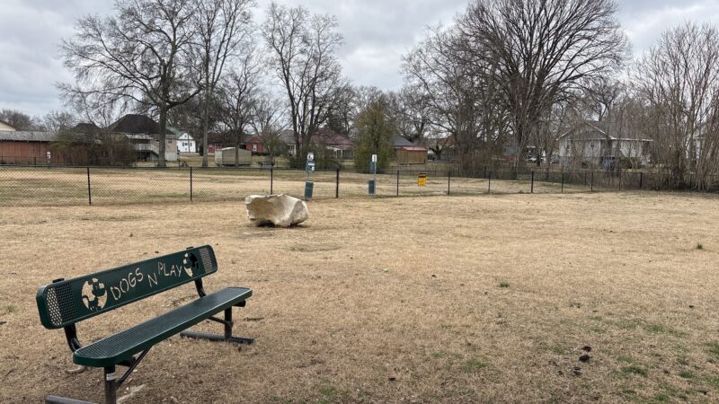Dog park - Chickamauga, GA