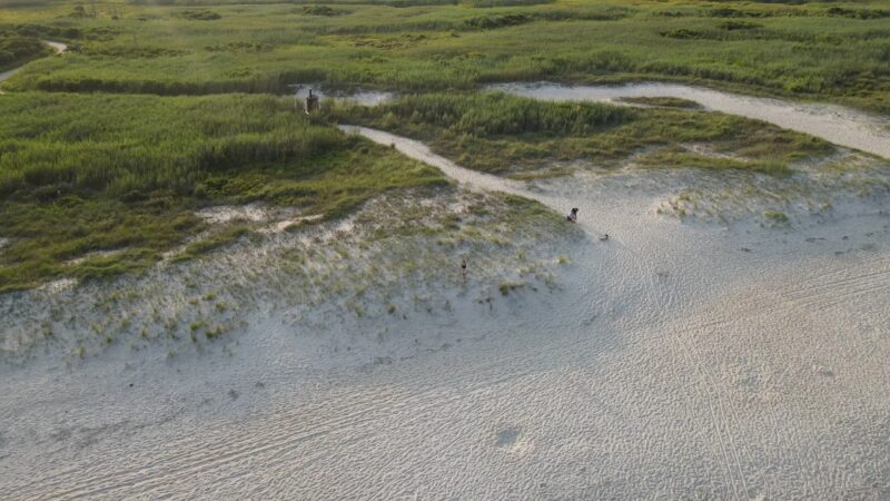 Assateague Beach - Chincoteague, VA