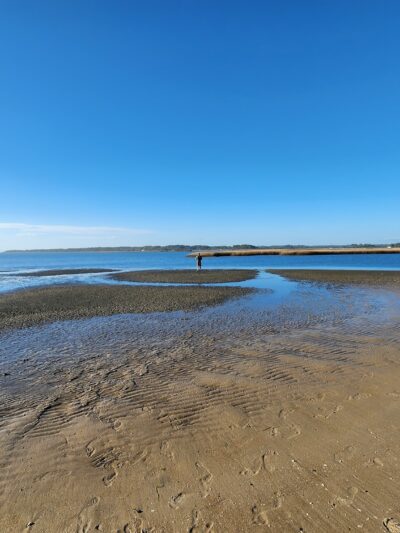 Assateague Beach - Chincoteague, VA