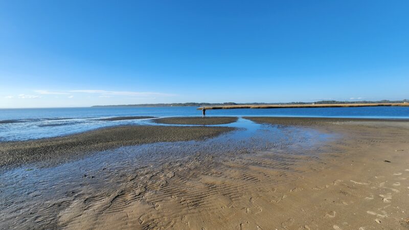 Assateague Beach - Chincoteague, VA