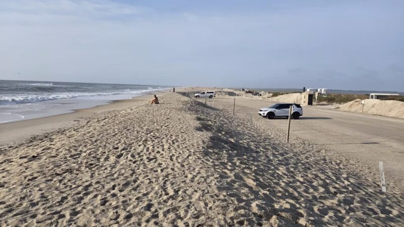Assateague Beach - Chincoteague, VA