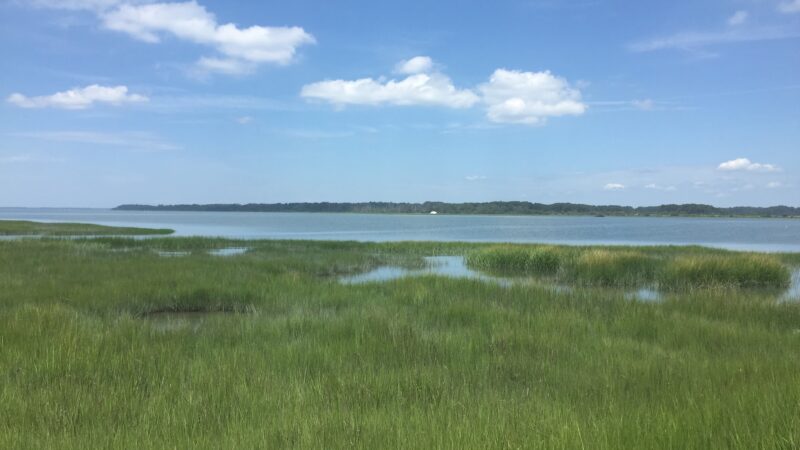 Beach Access and Parking - Chincoteague, VA