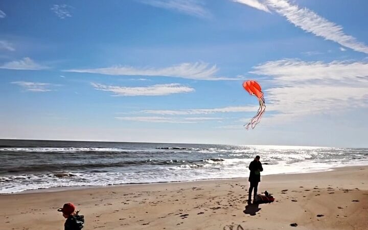 Beach Access and Parking - Chincoteague, VA