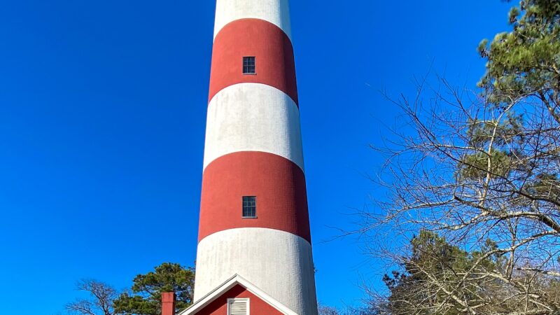 Chincoteague National Wildlife Refuge - Chincoteague, VA
