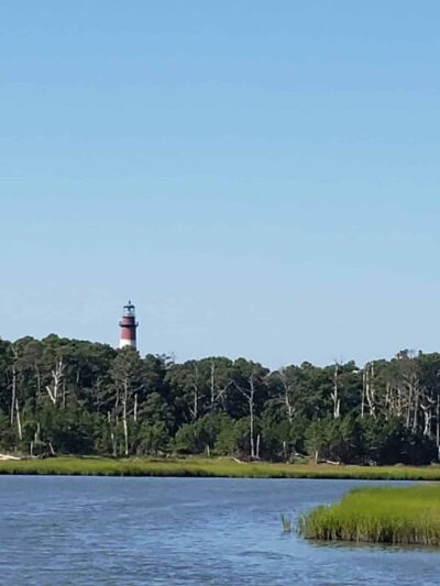 Chincoteague National Wildlife Refuge - Chincoteague, VA