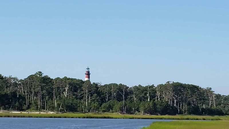 Chincoteague National Wildlife Refuge - Chincoteague, VA