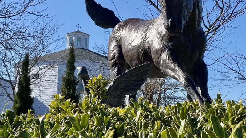 Downtown Chincoteague Waterfront Park - Chincoteague, VA