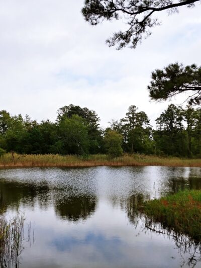 Island Nature Trail - Chincoteague, VA