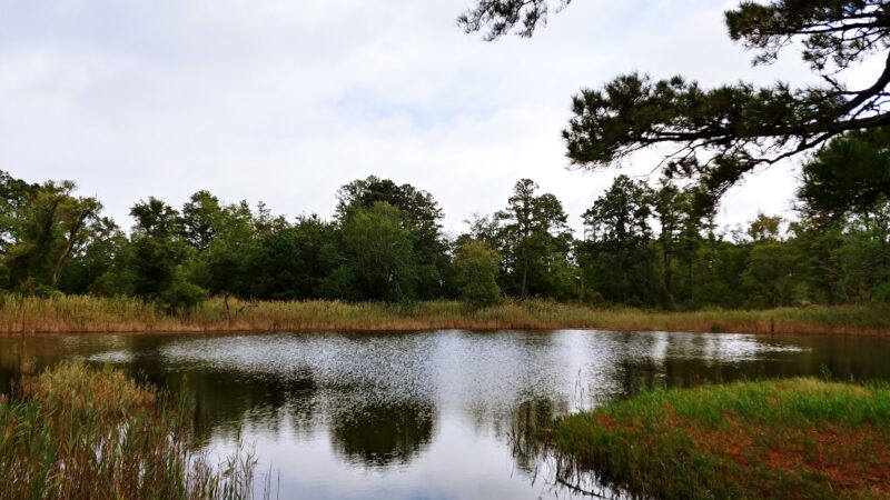 Island Nature Trail - Chincoteague, VA