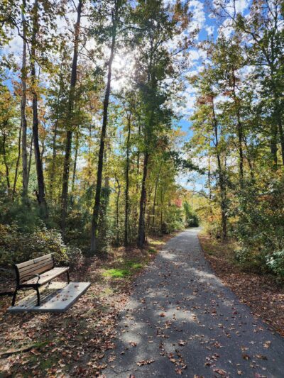Island Nature Trail - Chincoteague, VA