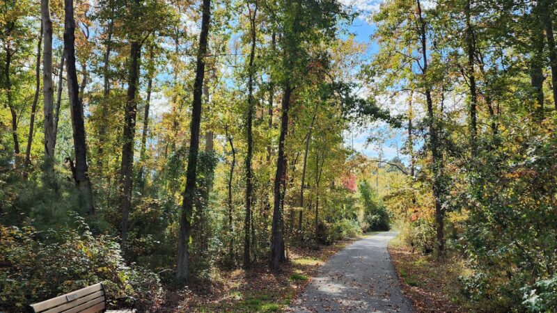 Island Nature Trail - Chincoteague, VA