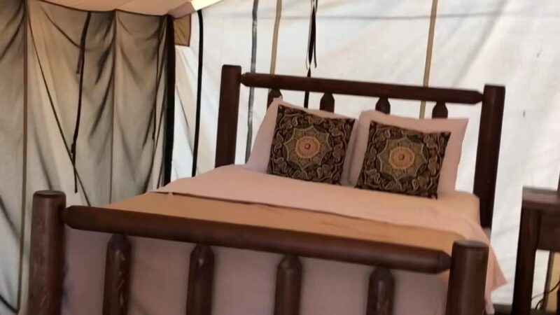 Jellystone Park™ Chincoteague Island - Chincoteague, VA