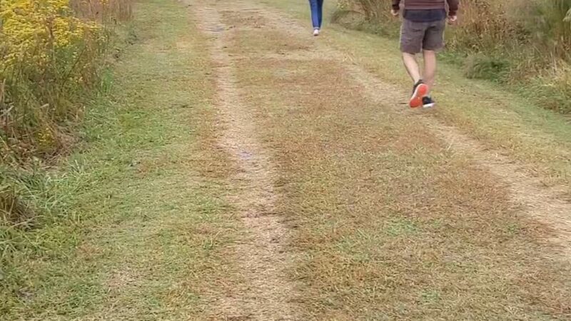 Marsh Trail - Chincoteague, VA
