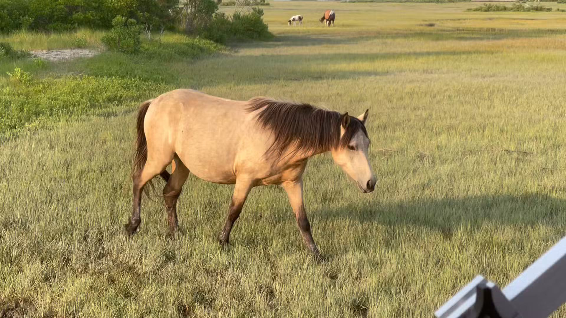 Snug Harbor Marina & Resort - Chincoteague, VA