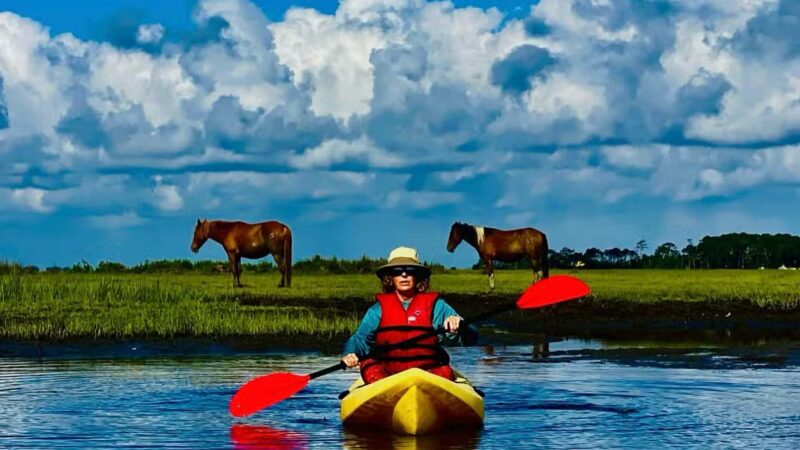 Snug Harbor Marina & Resort - Chincoteague, VA