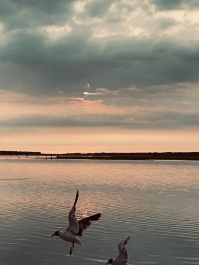 Tom's Cove Park - Chincoteague, VA