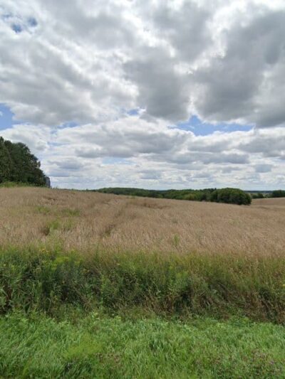 D-Tails Venus Audio Group - Chippewa Falls, WI