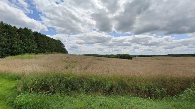 D-Tails Venus Audio Group - Chippewa Falls, WI