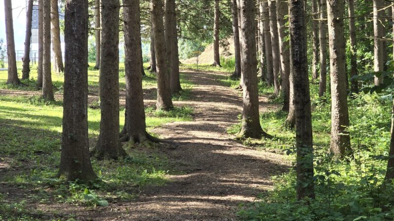 Sullivan Park - Chittenango, NY