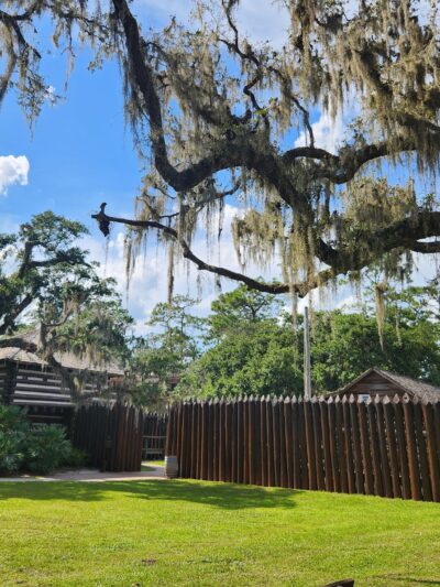 Fort Christmas Historical Park - Christmas, FL