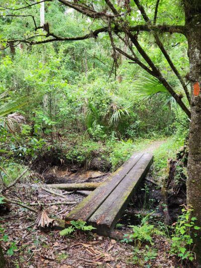 Seminole Ranch Conservation Area - Christmas, FL