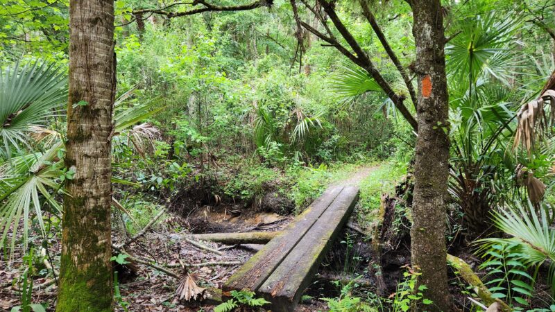Seminole Ranch Conservation Area - Christmas, FL