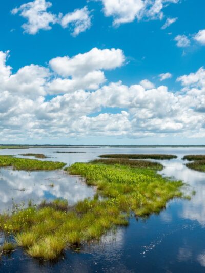 Seminole Ranch Conservation Area - Christmas, FL