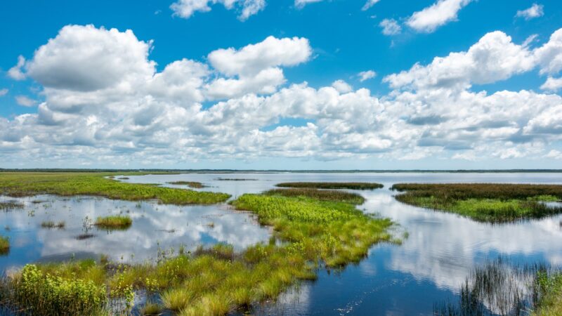 Seminole Ranch Conservation Area - Christmas, FL