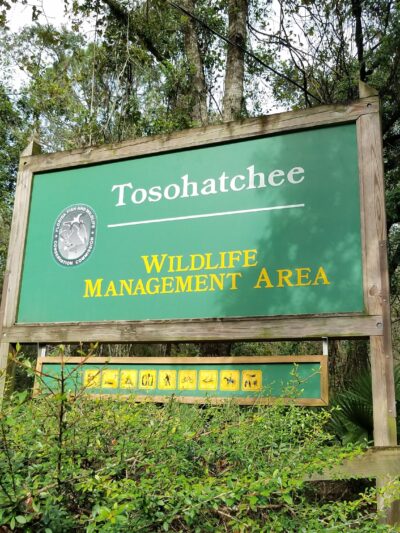 Tosohatchee Wildlife Management Area - Christmas, FL