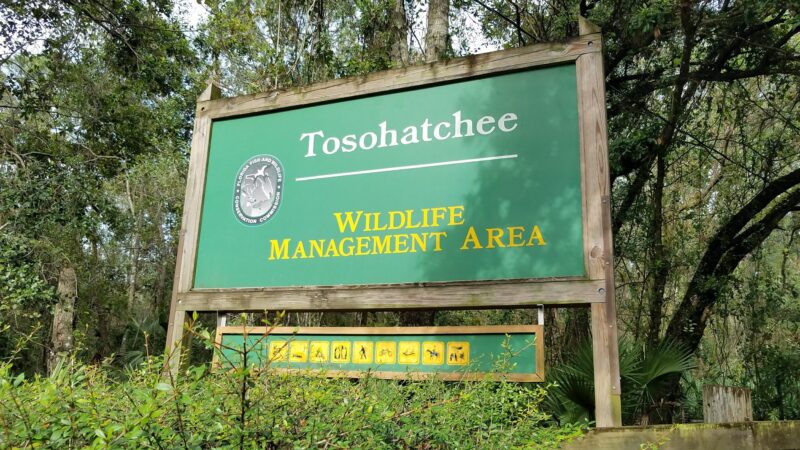 Tosohatchee Wildlife Management Area - Christmas, FL