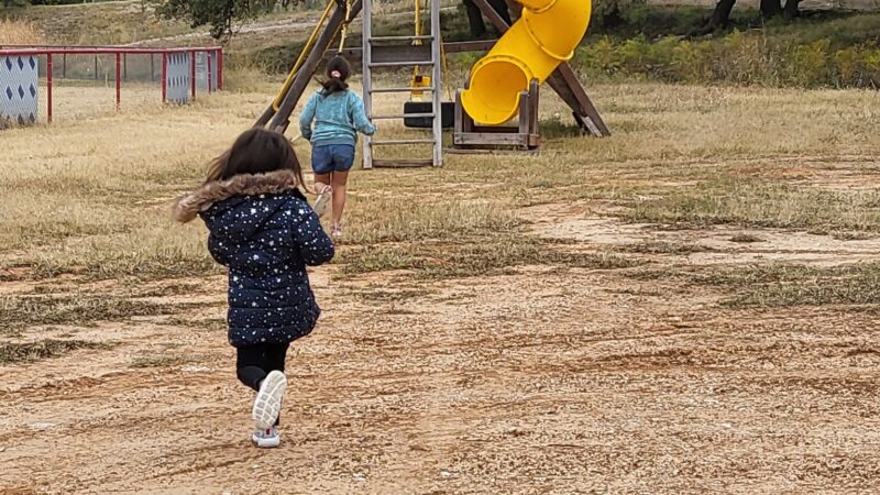 Pugs Park - Christoval, TX