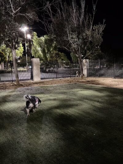 Town Center Dog Park - Chula Vista, CA