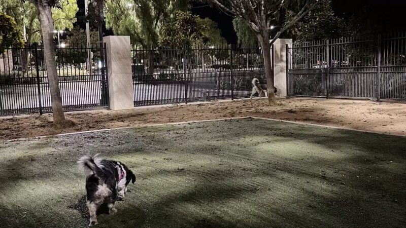 Town Center Dog Park - Chula Vista, CA