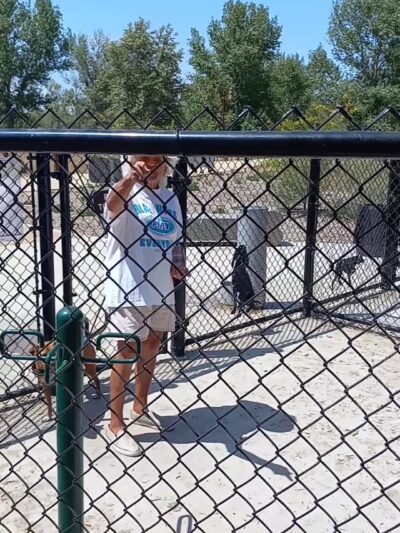 Town Center Dog Park - Chula Vista, CA