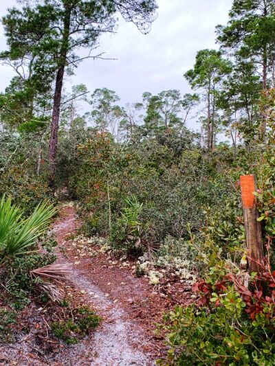 Chuluota Wilderness Area - Chuluota, FL