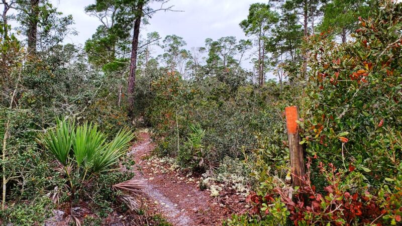 Chuluota Wilderness Area - Chuluota, FL