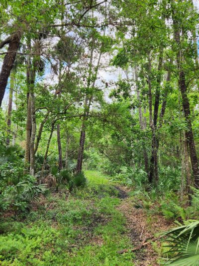 Chuluota Wilderness Area - Chuluota, FL