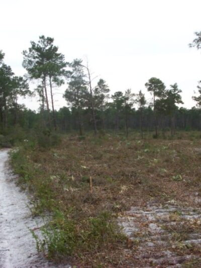 Chuluota Wilderness Area - Chuluota, FL